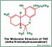 marijuana-thc-molecule.jpg